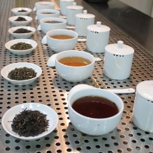 茶品檢驗